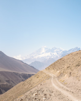 fine art photography graphic composition and surprising details by Willy Lamers