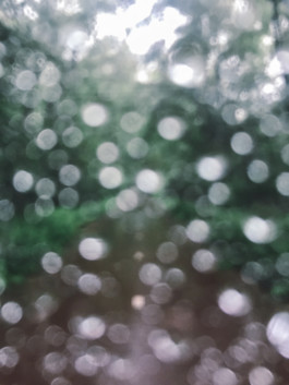 fine art photography graphic composition and surprising details by Willy Lamers