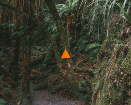 fine art photography graphic composition and surprising details by Willy Lamers